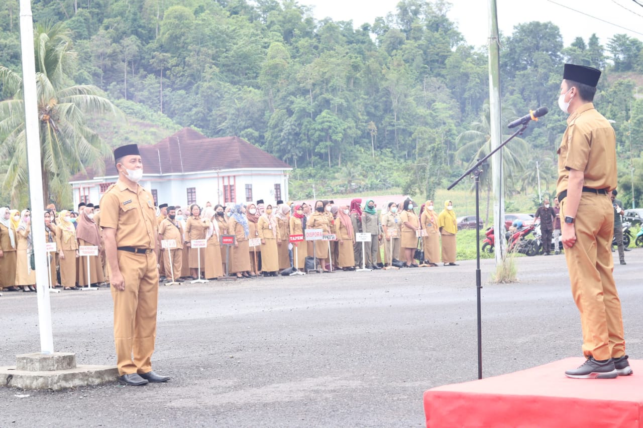 Pemilihan Sangadi