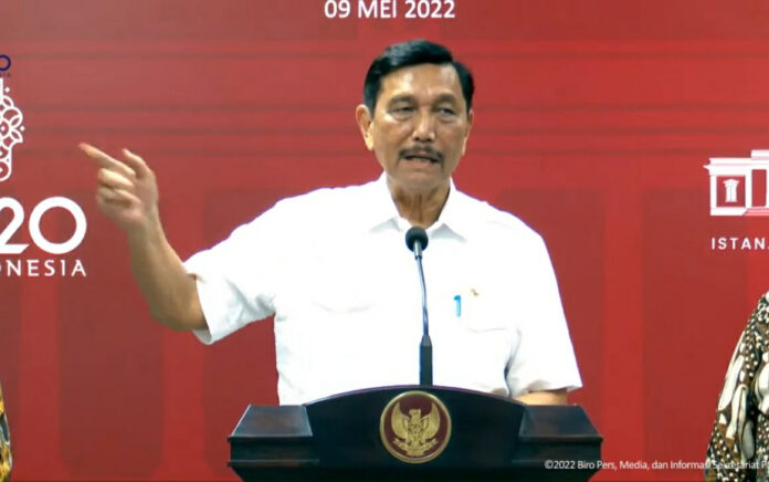 Luhut Yakin Presiden Jokowi Akan Bertemu dengan Elon Musk