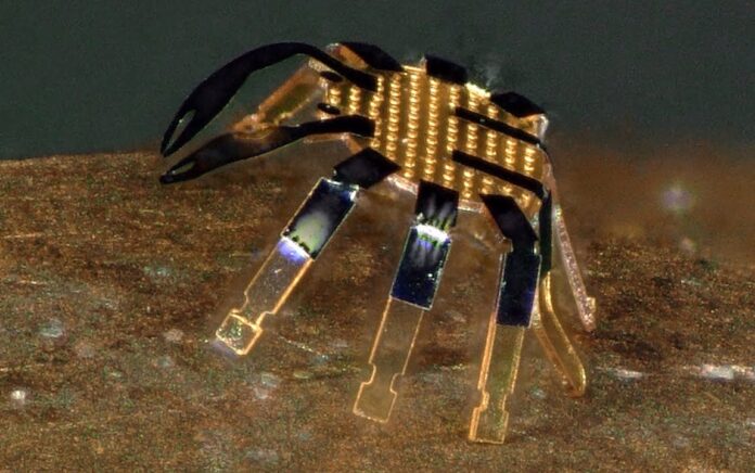 Peneliti Ciptakan Robot Kepiting yang Lebih Kecil dari Kutu