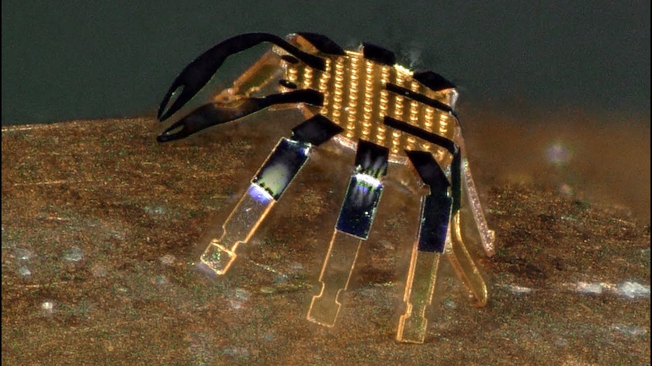Peneliti Ciptakan Robot Kepiting yang Lebih Kecil dari Kutu