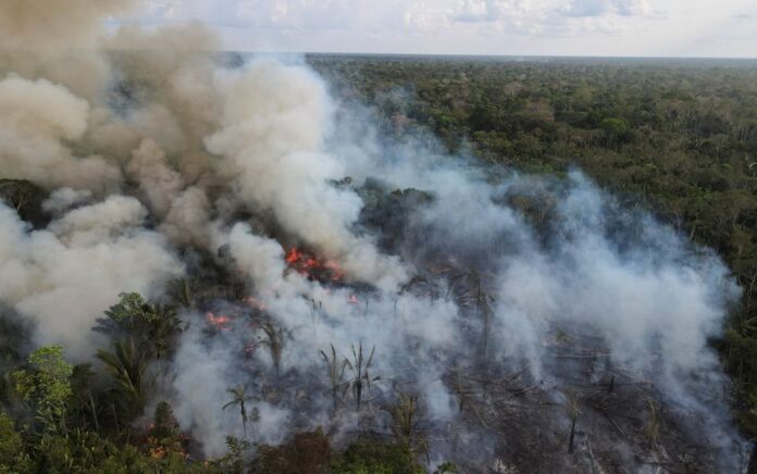 Kepulan asap membubung di atas sebidang hutan Amazon yang gundul di sebelah jalan raya nasional Transamazonica, di Labrea, negara bagian Amazonas, Brasil, 1 September 2021. Gambar diambil 1 September 2021 dengan drone. Foto: Reuters/Bruno Kelly.