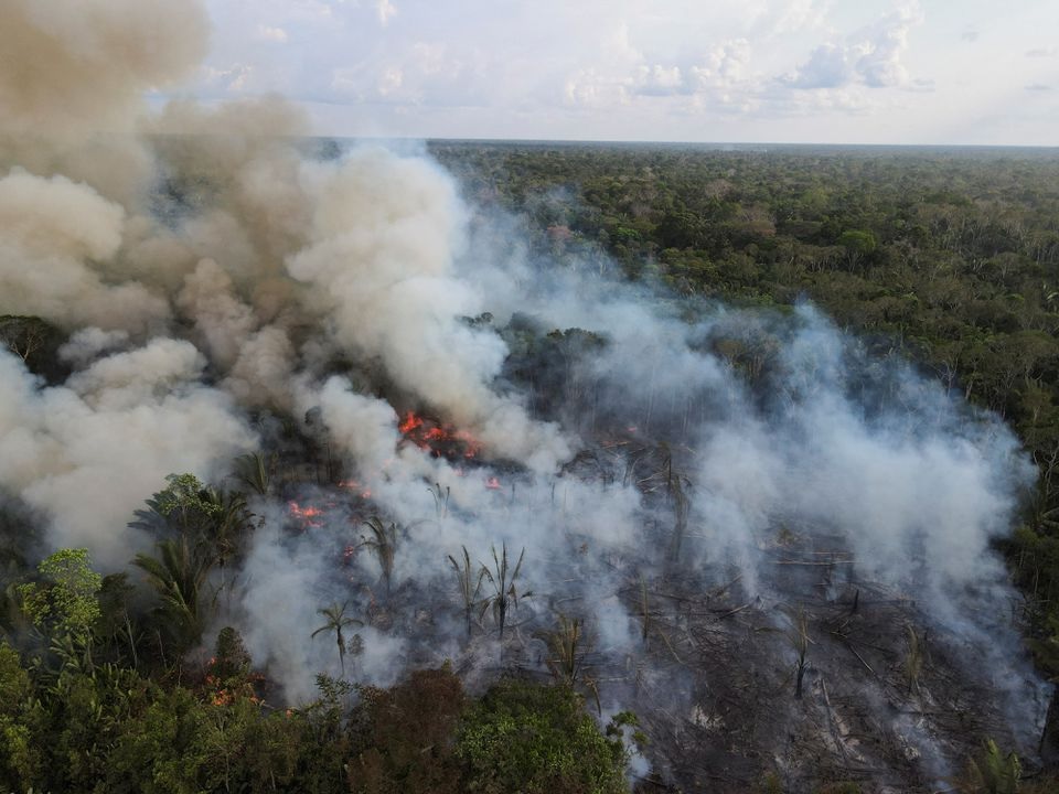 Kepulan asap membubung di atas sebidang hutan Amazon yang gundul di sebelah jalan raya nasional Transamazonica, di Labrea, negara bagian Amazonas, Brasil, 1 September 2021. Gambar diambil 1 September 2021 dengan drone. Foto: Reuters/Bruno Kelly.