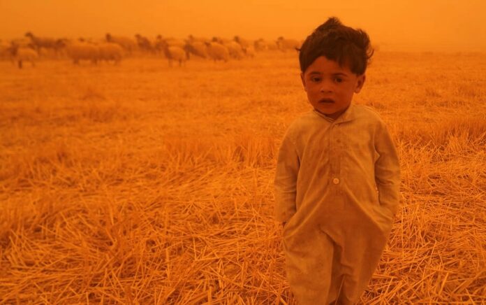 Seorang anak Badui berjalan di samping sekawanan domba di daerah al-Henniyah di luar Najaf, saat badai pasir menyapu Irak Qassem al-KAABI. Foto: AFP.