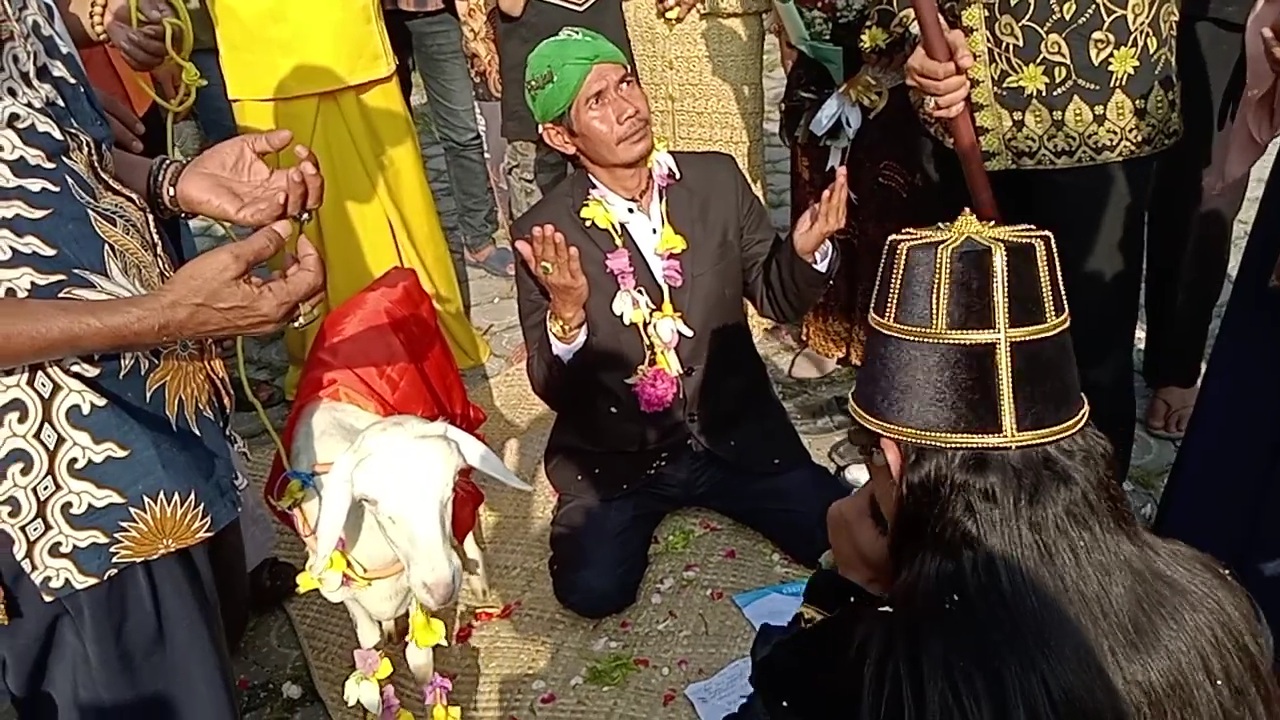 Mengaku Dapat Wangsit, Pria Asal Gresik Nikahi Seekor Kambing