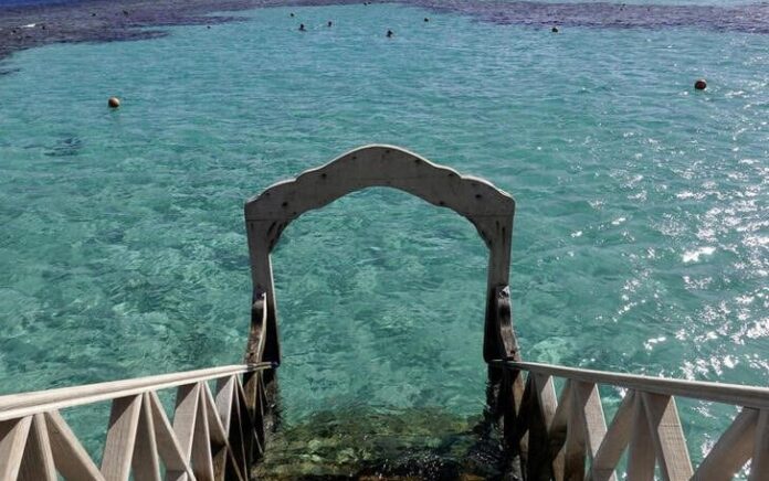 Dua Wanita Tewas dalam Serangan Hiu di Laut Merah Mesir