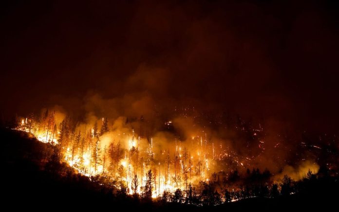 Kebakaran Hutan Merambat Cepat di California Utara, Ribuan Warga Mengungsi