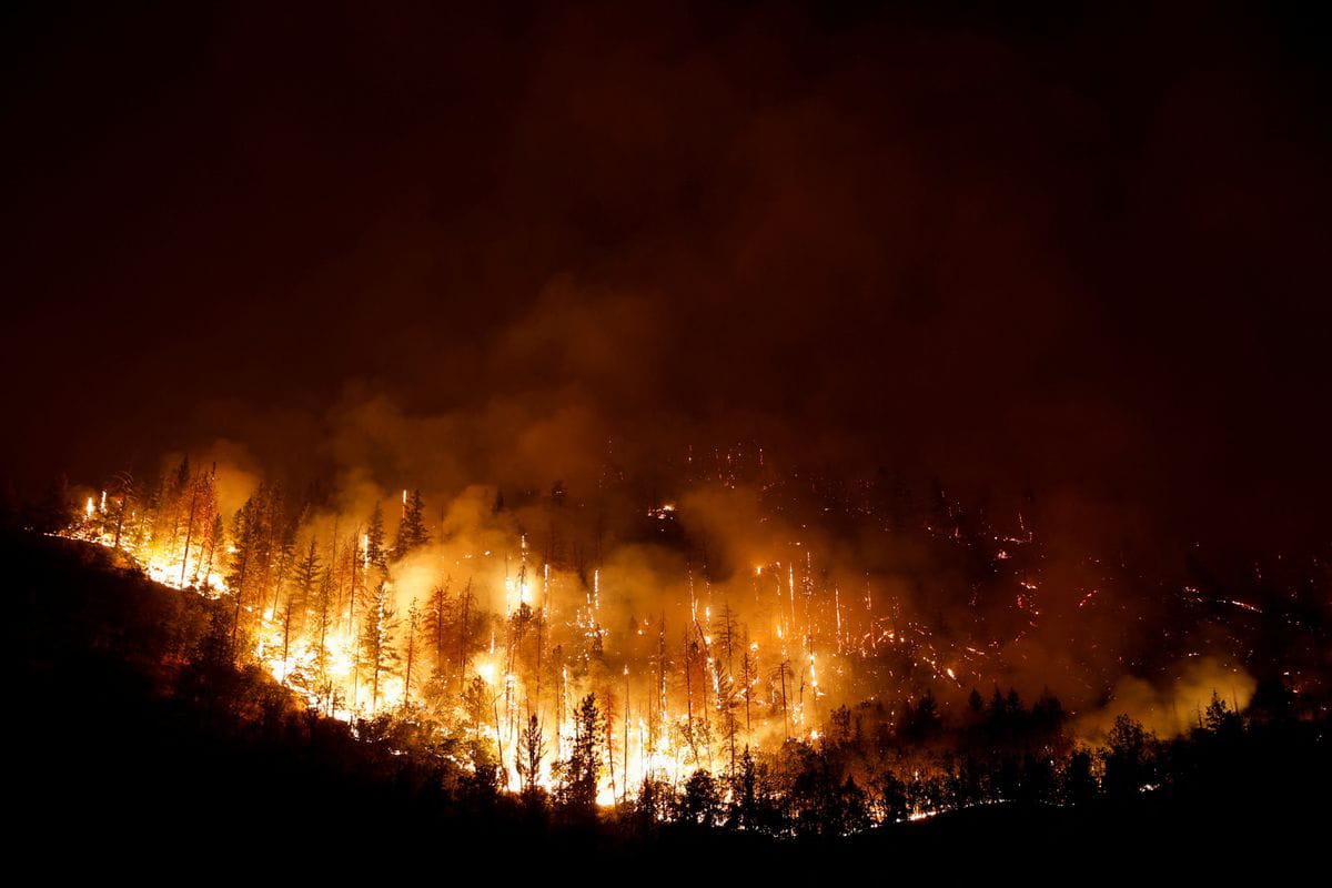 Kebakaran Hutan Merambat Cepat di California Utara, Ribuan Warga Mengungsi