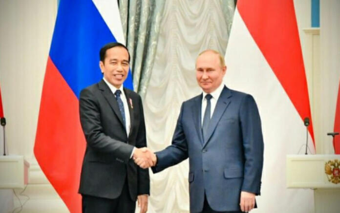 Selain Perdamaian, Jokowi dan Putin Diskusi Soal Pangan serta Pupuk