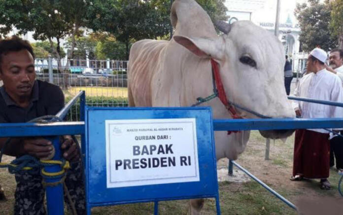 Presiden Jokowi Akan Salurkan Qurban di Dua Lokasi Jakarta