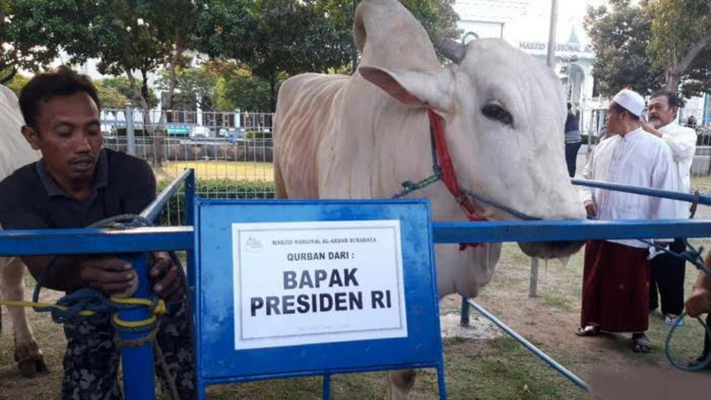 Presiden Jokowi Akan Salurkan Qurban di Dua Lokasi Jakarta