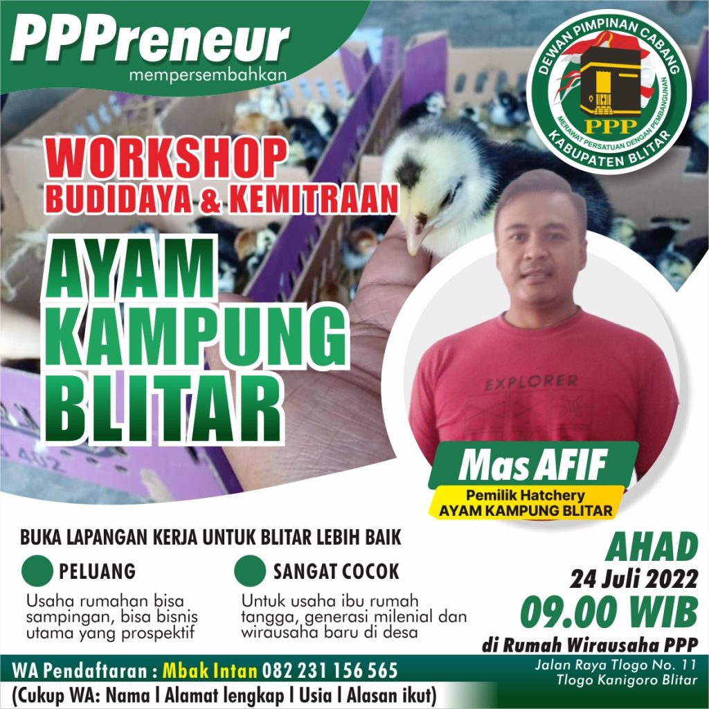 DPC PPP Kabupaten Blitar akan Gelar Workshop Budidaya Ayam Kampung