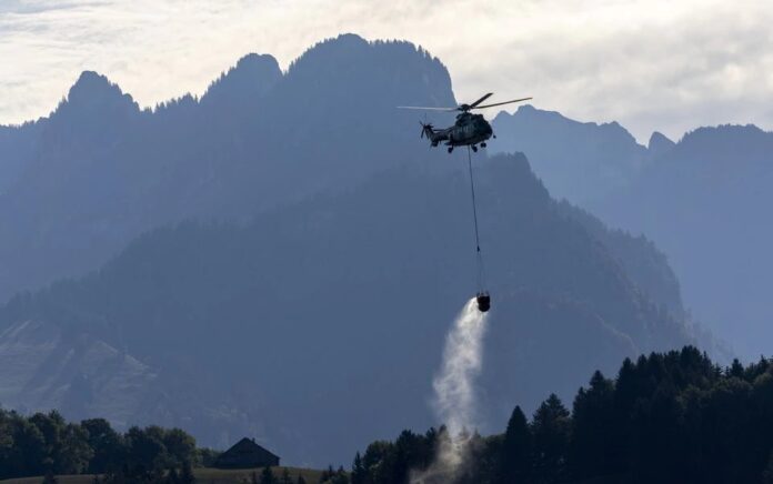 Tentara Swiss Angkut Air untuk Hewan yang Kehausan di Padang Alpen