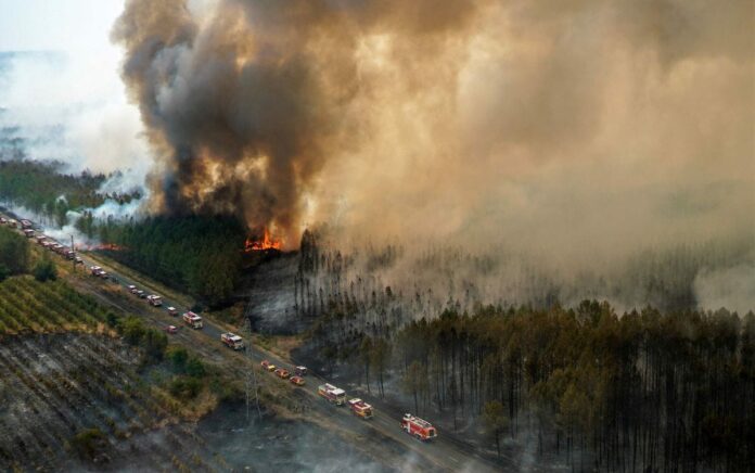 Kebakaran Hutan di Prancis Capai Rekor Emisi Karbon