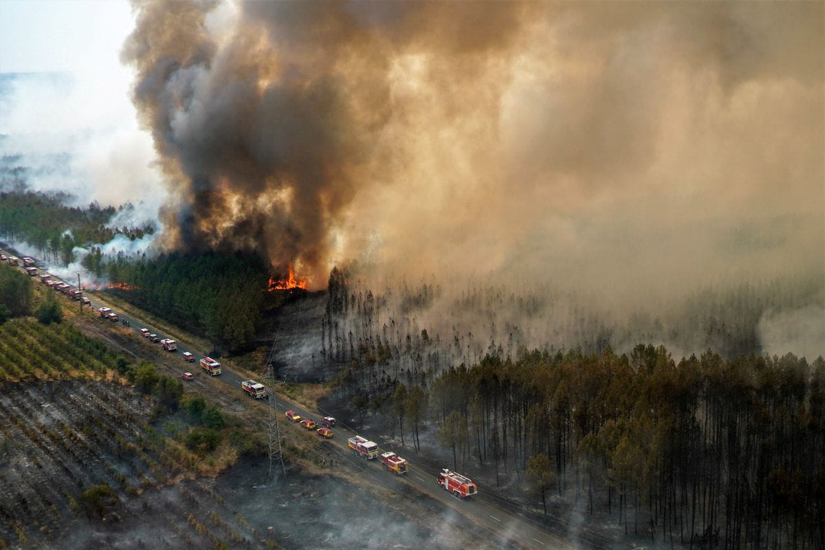 Kebakaran Hutan di Prancis Capai Rekor Emisi Karbon