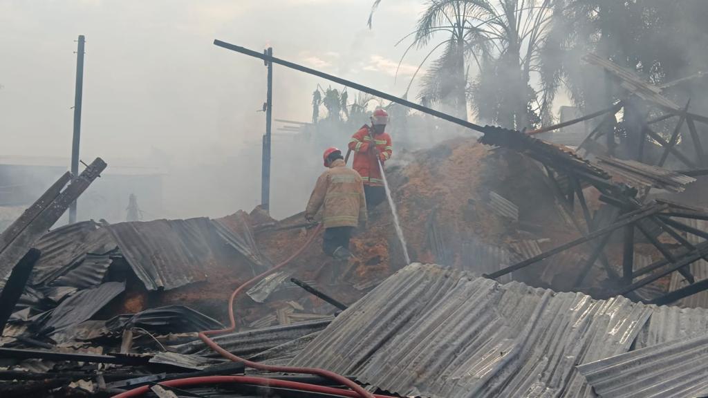 Akibat Bakar Sampah, Gudang Serbuk Kayu di Gresik Dilalap Api