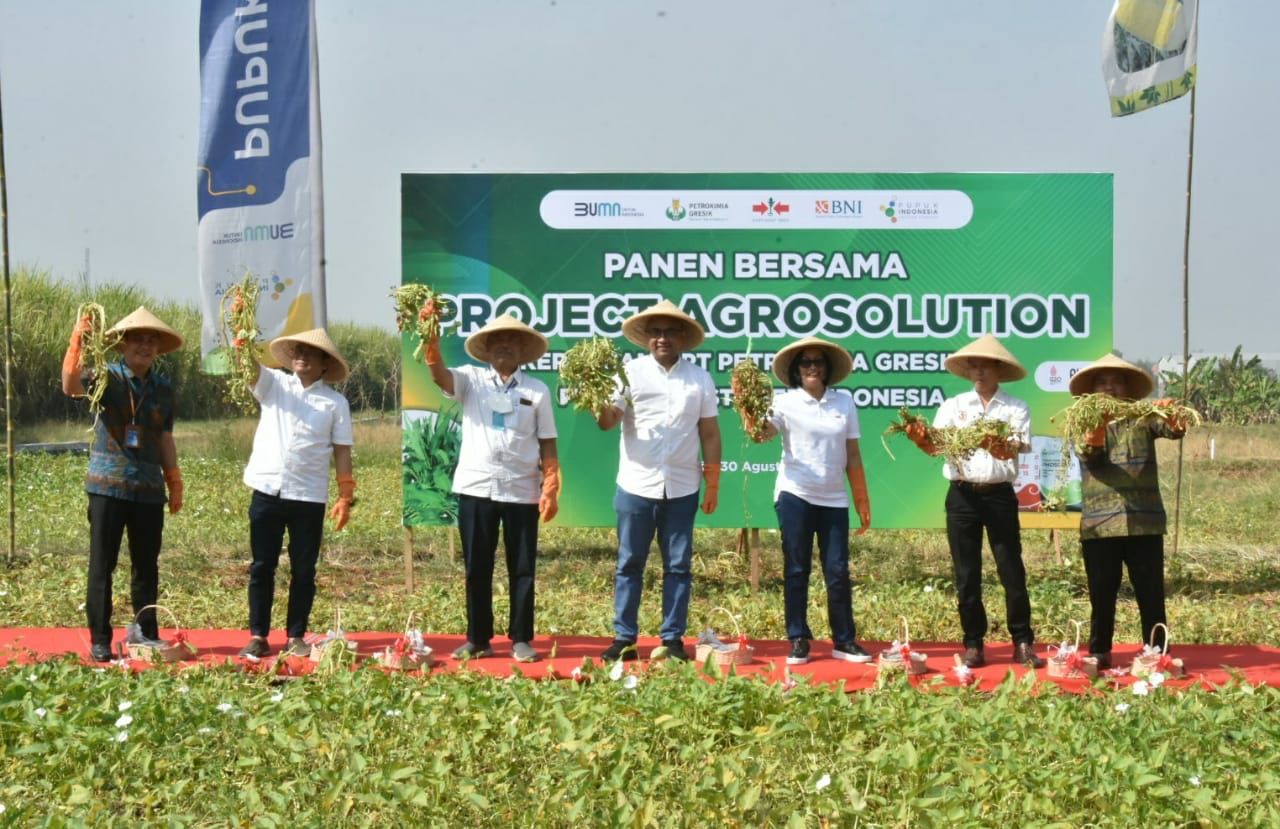 Lewat Projects Agrosolution, Petrokimia Gresik Buktikan Pendapatan Petani Benih Kangkung Naik