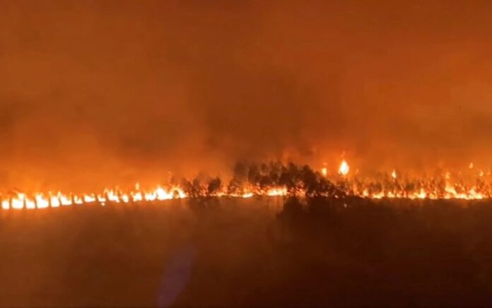 Si jago merah melalap pohon selama kebakaran di Hostens, saat kebakaran hutan terus menyebar di wilayah Gironde di barat daya Prancis, dalam tangkapan layar ini diambil dari video selebaran 9 Agustus 2022. Foto: Sdis33 via Facebook/HO/REUTERS.