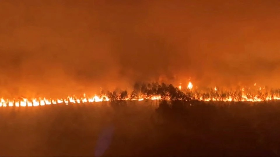 Si jago merah melalap pohon selama kebakaran di Hostens, saat kebakaran hutan terus menyebar di wilayah Gironde di barat daya Prancis, dalam tangkapan layar ini diambil dari video selebaran 9 Agustus 2022. Foto: Sdis33 via Facebook/HO/REUTERS.