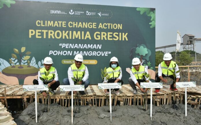 Dukung Net Zero Emissions, Petrokimia Gresik Tanam Mangrove di Pesisir Pantai Utara