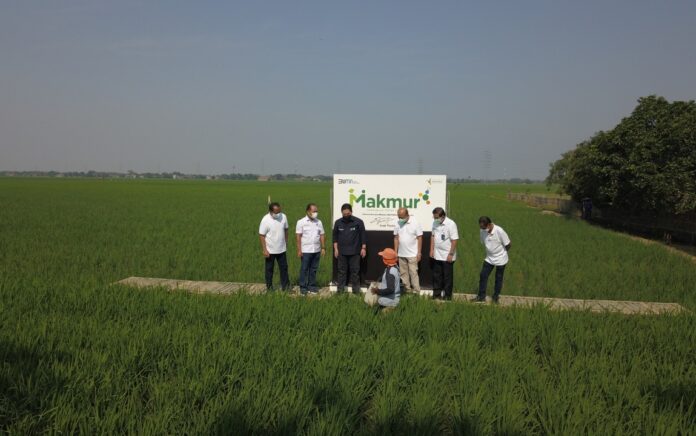 Berkat Program Makmur dan Agro Solution Petrokimia Gresik, 30 Ribu Lebih Petani Sejahtera