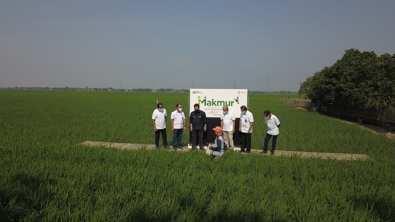 Berkat Program Makmur dan Agro Solution Petrokimia Gresik, 30 Ribu Lebih Petani Sejahtera