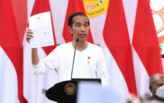 Kunker ke Papua, Presiden Jokowi Bagikan NIB UMKM