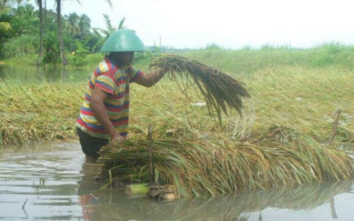 Sekjend OPSI Dorong Pekerja Rentan Indonesia Segera Dapat Jaminan Sosial