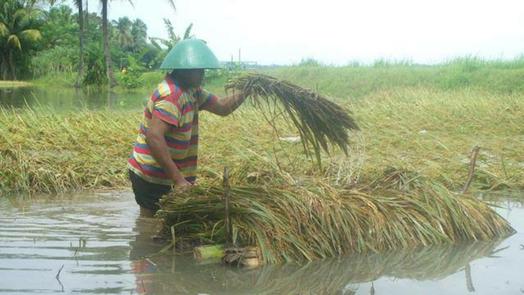 Sekjend OPSI Dorong Pekerja Rentan Indonesia Segera Dapat Jaminan Sosial