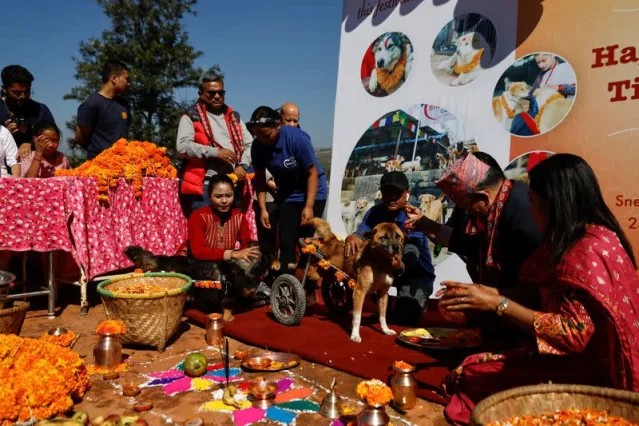 Nepal Gelar Festival Hindu yang Didedikasikan untuk Para Anjing