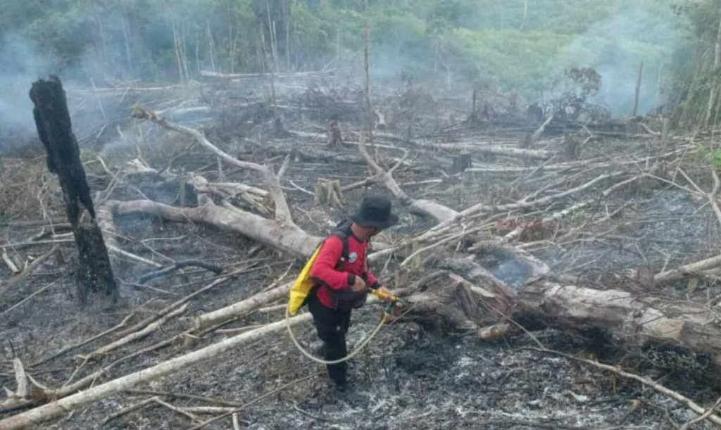 BMKG Deteksi 22 Titik Panas di Kalimantan Timur