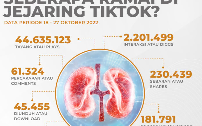 Warga TikTok Menaruh Perhatian Kasus Gagal Ginjal Akut