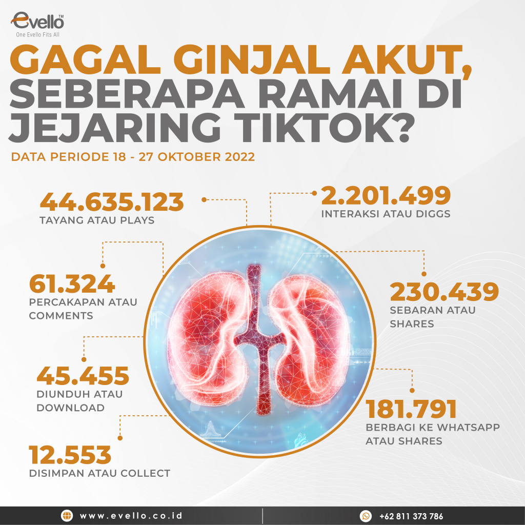 Warga TikTok Menaruh Perhatian Kasus Gagal Ginjal Akut