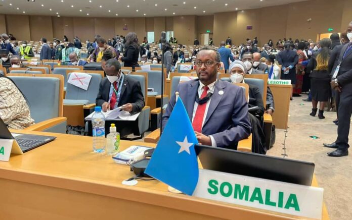 Ethiopia dan Somalia Tandatangani Kerjasama 10 Poin