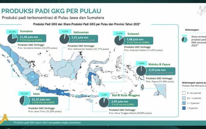 produksi beras