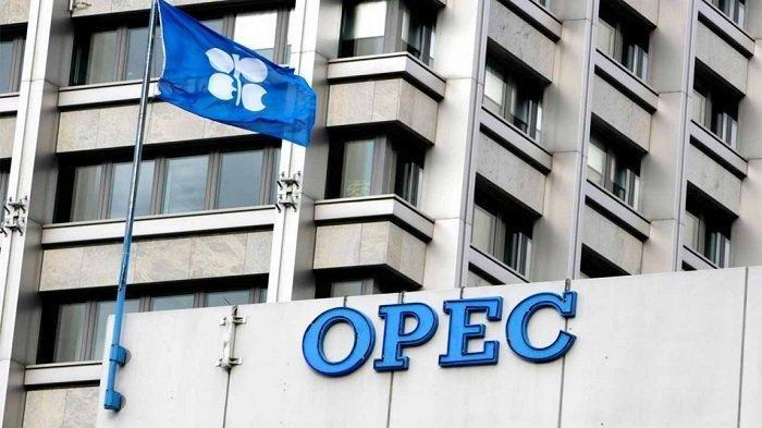 Angola Dukung Keputusan OPEC+ untuk Memotong Produksi Minyaknya