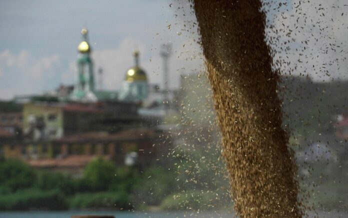 Kesepakatan Biji-bijian Ditangguhkan, Moskow Berkomitmen Membantu Negara-negara Afrika