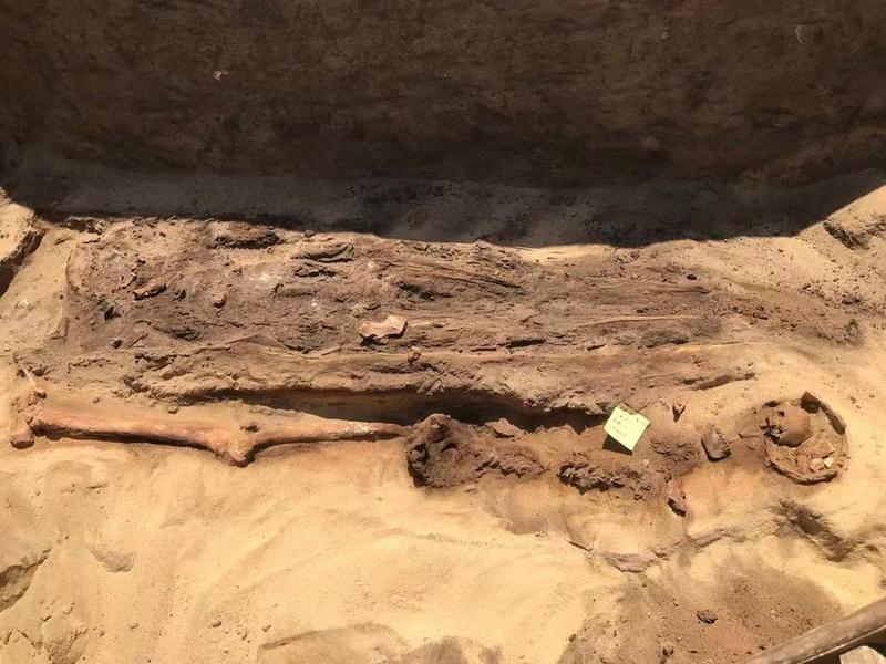 Tim Arkeolog Mesir Temukan Mumi Berlidah Emas
