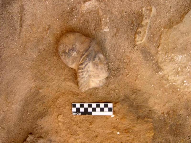Terowongan Batu Kuno Ditemukan di Mesir