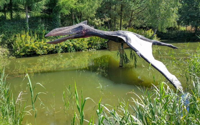 Spesies Baru Pterosaurus Ditemukan di Afrika