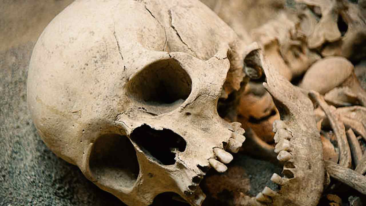 Penduduk Florida Temukan Tulang-tulang Suku Ais, Penduduk Asli Amerika