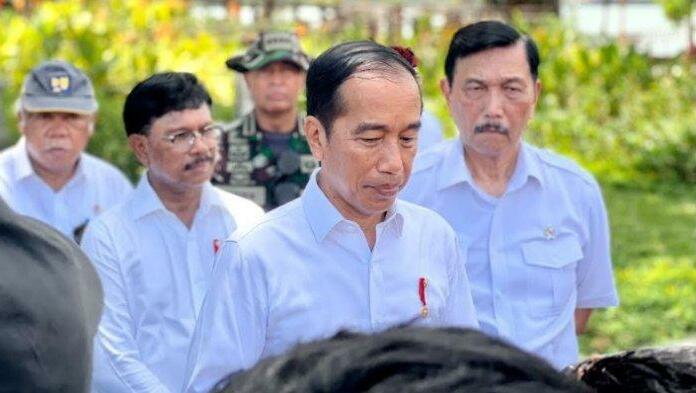 Presiden Jokowi Pastikan 17 Kepala Negara Hadir di KTT G20