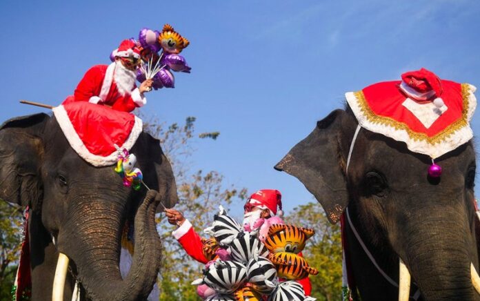 Unik, Para Gajah Bantu Sinterklas Bagikan Hadiah di Thailand