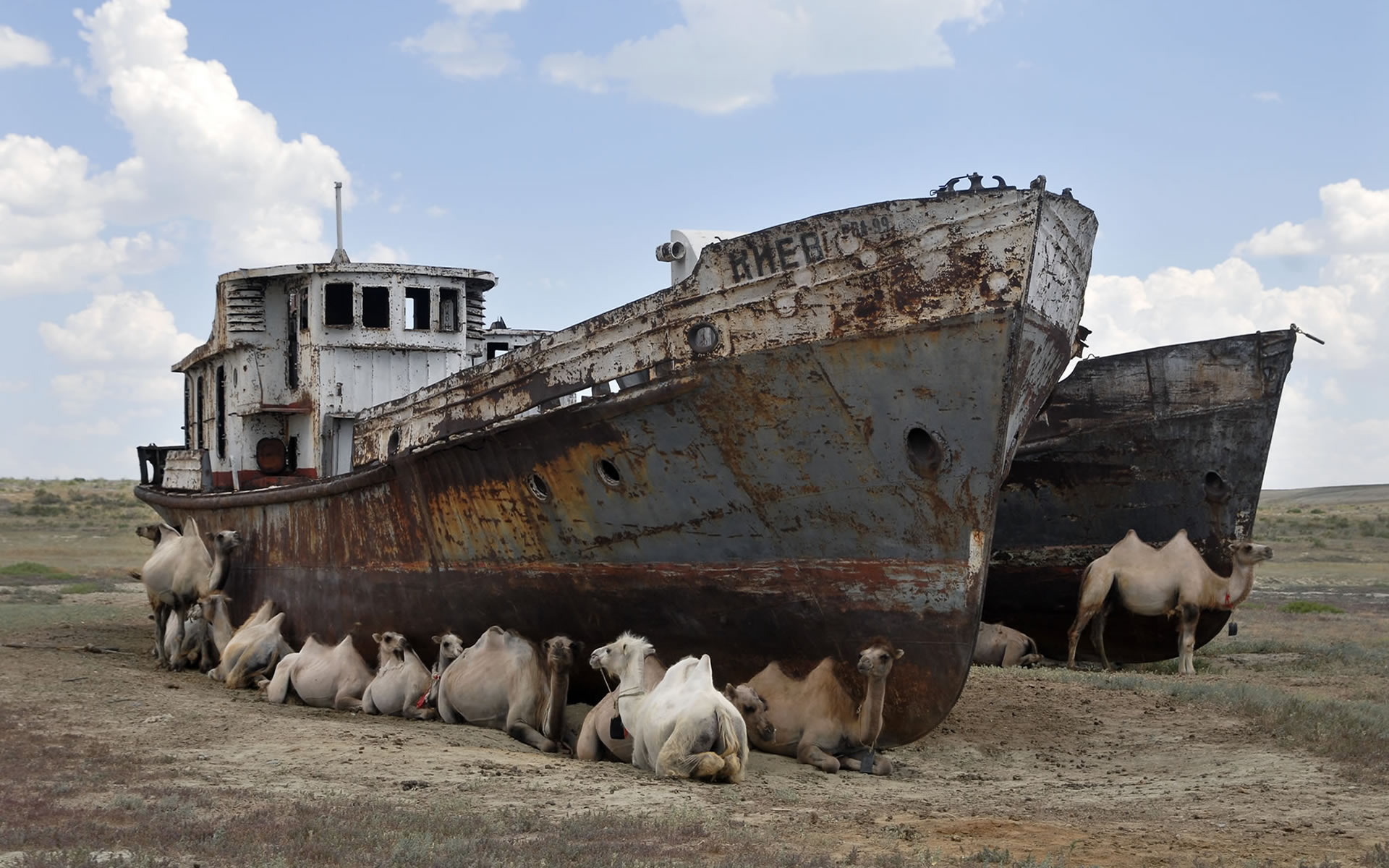 Peneliti Gabungan China-Uzbekistan Ungkap Penyebab Penyusutan Volume Air Aral Sea