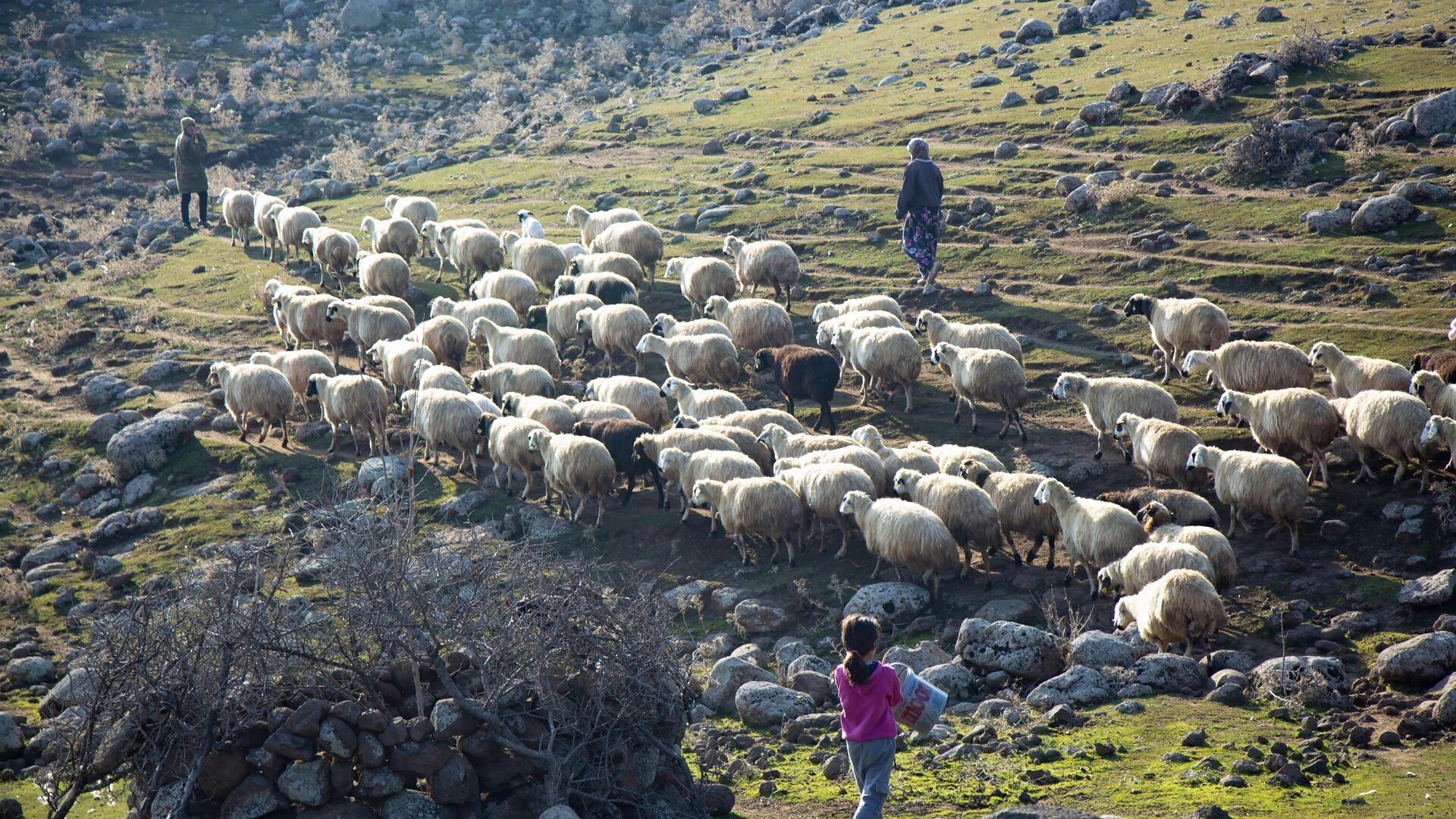 Turki: Penduduk Desa Orenkuyu Berjuang untuk Hidup di Ambang Krisis Air