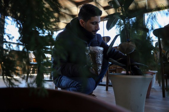 Keren, Pemuda Gaza Daur Ulang Limbah Kopi Jadi Pupuk Ramah Lingkungan