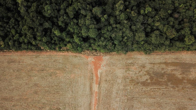Tampilan udara menunjukkan deforestasi di dekat hutan di perbatasan antara Amazonia dan Cerrado di Nova Xavantina, negara bagian Mato Grosso, Brasil 28 Juli 2021. Foto diambil dengan drone pada 28 Juli 2021. Foto: Reuters/Amanda Perobelli.