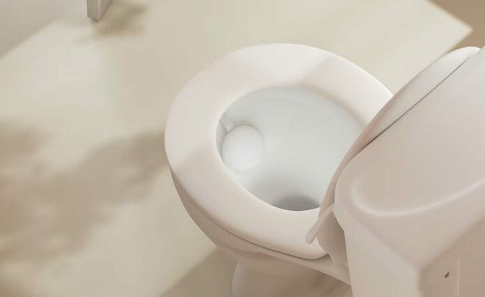 Dua Produk Teknologi Toilet Pintar Ini Bisa Melacak Kesehatan dengan Sensor Urin