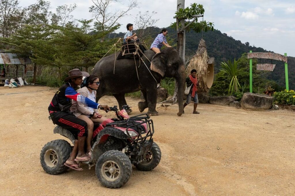 Thailand Tambahkan Lebih Banyak Gajah di Kampnya untuk Sambut turis Tiongkok