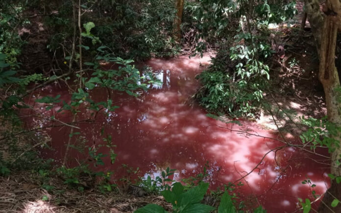 Warga Banuaju Barat Sumenep Geger, Air Sungai Setempat Berubah Jadi Warna Merah