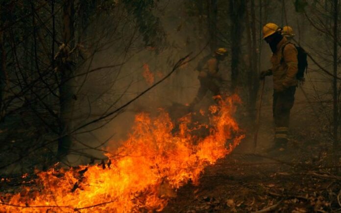 Ratusan Kebakaran Hutan Terjadi di Chili, Korban Tewas Terus Meningkat